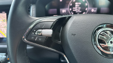 Skoda Kodiaq 1.5 TSI SE L Executive 5dr DSG [7 Seat] Petrol Estate